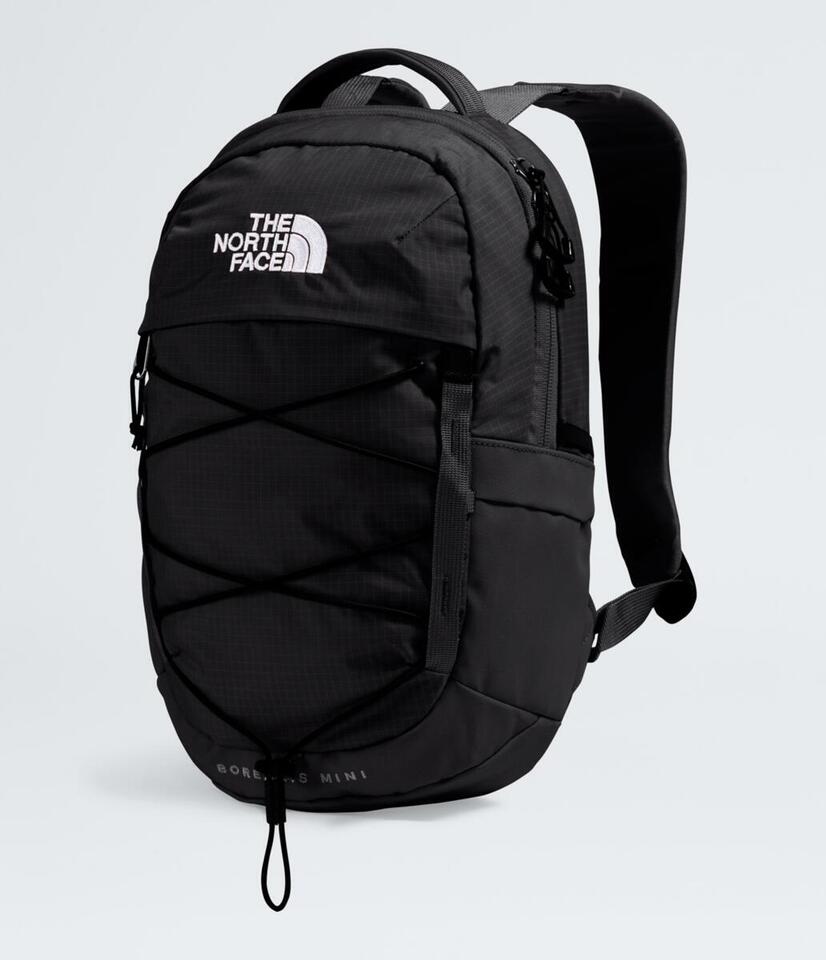 THE NORTH FACE Borealis Mini リュック The North Face Borealis Mini Daypack – Prairie Summit Shop Regina