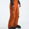 The North Face Men's Freedom Insulated Pant