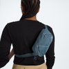 Terra Lumbar—1L