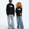 Teen Evolution Half Dome Pullover Hoodie